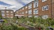 Social-Housing-Sams-and-Acacia-3